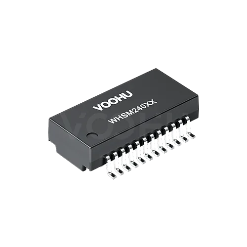 WHSM24015N0 10G-Base-T single port 24PIN