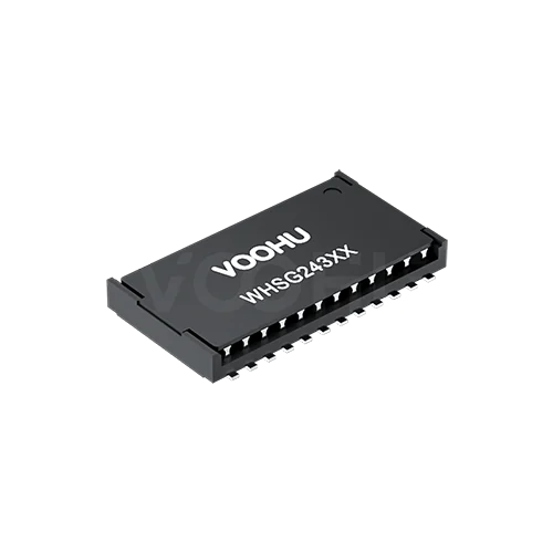 WHSG24301GM LAN Transformer perspective view